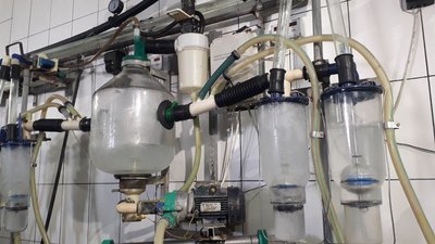 Як працюють в умовах війни тваринницькі господарства Сумщини