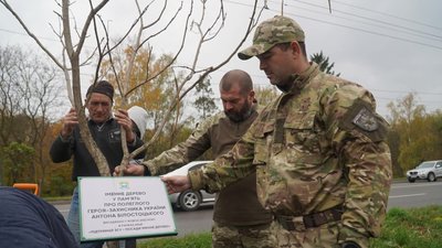 Антон Білостоцький, дерево, Тернопіль
