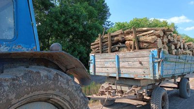 Незаконна рубка дерев