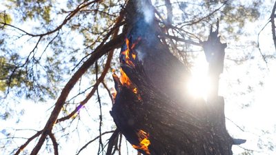 Дніпропетровщина: надзвичайники локалізували лісову пожежу більш ніж на 32 гектарах Дніпропетровщина: надзвичайники локалізували лісову пожежу більш ніж на 32 гектарах