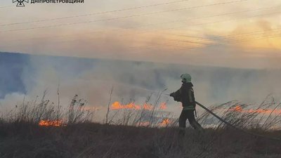На Дніпропетровщині впродовж доби ліквідували 60 пожеж в екосистемах