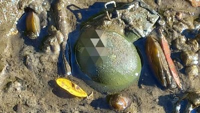 У Черкасах чоловік виявив гранату з запалом