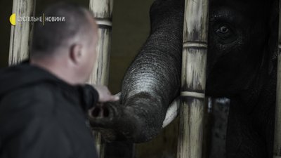 “Які в нас зараз ім’я в голові? Байрактар” — Як живе київський зоопарк в умовах війни “Які в нас зараз ім’я в голові? Байрактар” — Як живе київський зоопарк в умовах війни