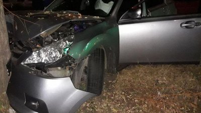 Херсонський водій напідпитку врізався у дерево