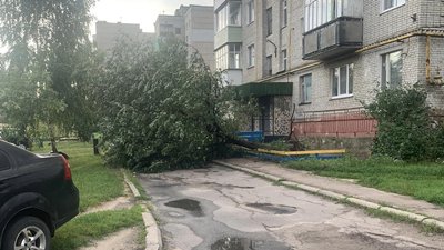 У Шосткинській та Кролевецькій громадах Сумщини негода завдала пошкоджень У Шосткинській та Кролевецькій громадах Сумщини негода завдала пошкоджень