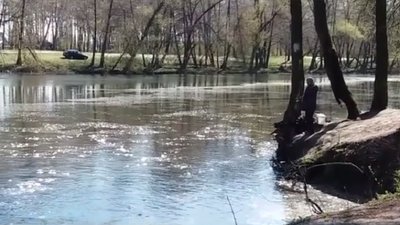 Нітритів у 5 разів більше за норму: екоінспекція перевірила воду у Пслі за Сумами (ОНОВЛЕНО)