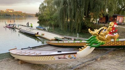 Веслування на драгонботах: як тренуються житомирські спортсмени на човнах "Дракон" Веслування на драгонботах: як тренуються житомирські спортсмени на човнах "Дракон"