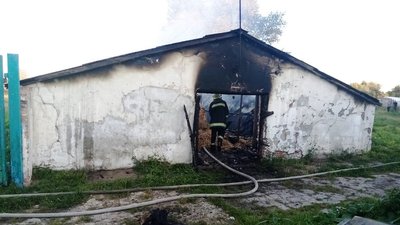 У Житомирській області на території дитбудинку горів старий свинарник