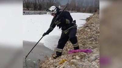 Прикарпатські рятувальники витягнули зі ставка тіло людини