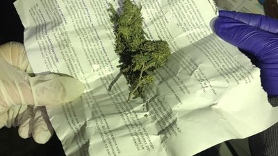 15 кілограмів марихуани вилучили правоохоронці в закарпатця, причетного до збуту наркотиків 15 кілограмів марихуани вилучили правоохоронці в закарпатця, причетного до збуту наркотиків