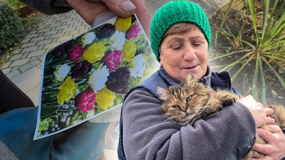 Луцький зоопарк, квіти в зоопарку, тюльпани