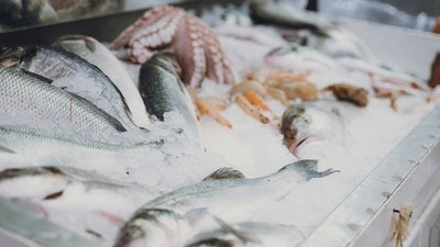 Заморожена їжа