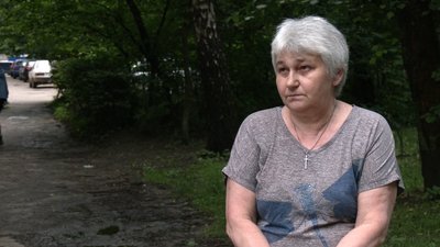 Що у Рівному робити із аварійними деревами Що у Рівному робити із аварійними деревами