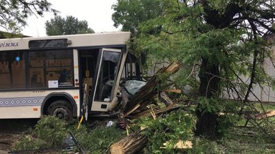 У Запоріжжі муніципальний пасажирський автобус врізався у дерево