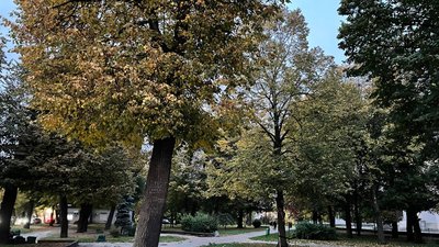 Житомир, погода, природа, жовтень 2025 року