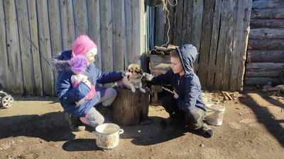 Прабабуся і мама водночас: жителька Житомирщини Лариса Гарбовська у сімдесят чотири роки сама виховує двох правнуків Прабабуся і мама водночас: жителька Житомирщини Лариса Гарбовська у сімдесят чотири роки сама виховує двох правнуків