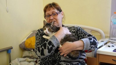 кіт, переселенці, Дніпро