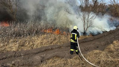 Чоловік отримав опіки: на Черкащині за добу сталися понад пів сотні пожеж сухостою