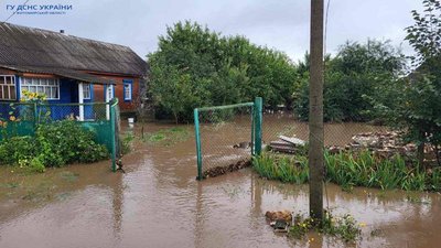 На Житомирщині через грозу рятувальники відкачували воду із приватних садиб На Житомирщині через грозу рятувальники відкачували воду із приватних садиб