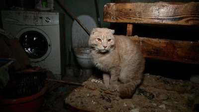 "Коли ми увійшли в цей будинок, я заплакала": на Чернігівщині родина переселенців втратила житло вдруге