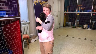"Кішечка потрапила до нас з Торецька": у Дніпрі врятували сім'ю котів з Донеччини "Кішечка потрапила до нас з Торецька": у Дніпрі врятували сім'ю котів з Донеччини