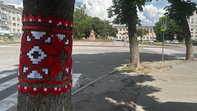 Дерева на центральній вулиці Звягеля прикрасили вишитими орнаментами Дерева на центральній вулиці Звягеля прикрасили вишитими орнаментами