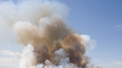 Атака БпЛА на Ніжинщину: внаслідок падіння російських БпЛА загорівся ліс і суха трава