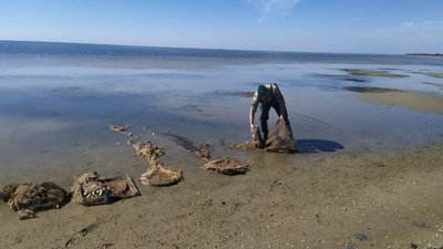 На Херсонщині прикордонники виявили 5 браконьєрських пасток На Херсонщині прикордонники виявили 5 браконьєрських пасток