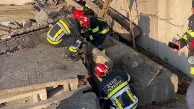 Під Житомиром врятували тварину, яка місяць пролежала затиснутою між бетонними плитами Під Житомиром врятували тварину, яка місяць пролежала затиснутою між бетонними плитами