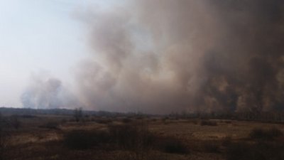 "Вигорілі села, дикі тварини, робота по 12 годин" – полтавські рятувальники про пожежу в Чорнобилі "Вигорілі села, дикі тварини, робота по 12 годин" – полтавські рятувальники про пожежу в Чорнобилі