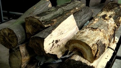 На Житомирщині у шкільній котельні села Черемошне провели технічне переоснащення і зробили ремонт На Житомирщині у шкільній котельні села Черемошне провели технічне переоснащення і зробили ремонт