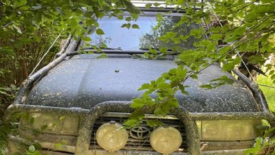 Обшукали домівки. На Буковині поліцейські вилучили контрафактних цигарок на 700 тис грн Обшукали домівки. На Буковині поліцейські вилучили контрафактних цигарок на 700 тис грн