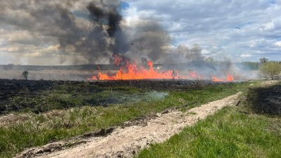 Російські війська атакували сільгосппідприємство у Запорізькому районі: є поранений