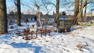 Кладовище домашніх тварин у Черкасах