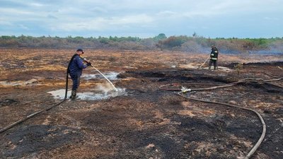 Гасіння пожежі на торфовищі