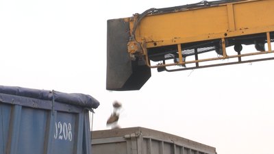 Залишилося 10 гектрів: на Вінниччині завершують збір цукрового буряка Залишилося 10 гектрів: на Вінниччині завершують збір цукрового буряка