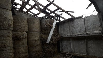 ферма Сумський район ферма Сумський район