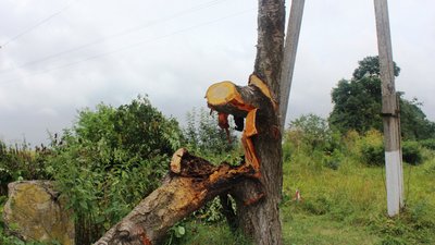Наслідки негоди на Вінниччині: знеструмлено 22 населених пункти