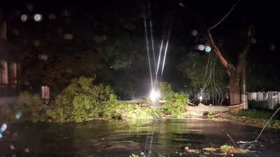 Знеструмлені села, повалені дерева та знесені дахи: наслідки негоди на Хмельниччині