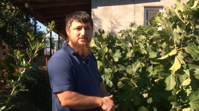 Вирощує кримський інжир на Черкащині. Асан Саліджанов. СУСПІЛЬНЕ | ЛЮДИ