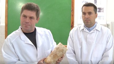 У Херсоні вирощують абажури із грибів. СУСПІЛЬНЕ | ВІДЕОНОВИНИ