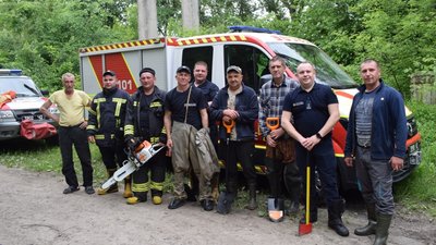 Біля Рівного врятували самку лося з води. ДСНС показала відео Біля Рівного врятували самку лося з води. ДСНС показала відео