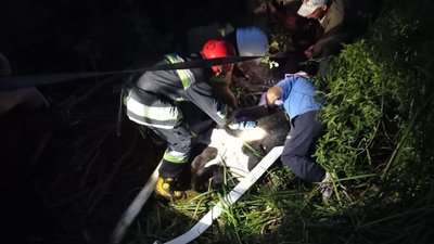У прикарпатському селі корова застрягла у болоті — витягували рятувальники У прикарпатському селі корова застрягла у болоті — витягували рятувальники
