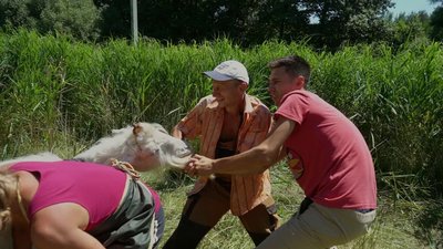 Хата з мішків, педикюр козлу та бджоляр вихідного дня. Новий випуск "Умандрували: за Харковом" Хата з мішків, педикюр козлу та бджоляр вихідного дня. Новий випуск "Умандрували: за Харковом"