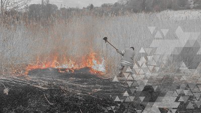 Чому болить серце Запоріжжя. Топ-5 проблем Національного заповідника "Хортиця" Чому болить серце Запоріжжя. Топ-5 проблем Національного заповідника "Хортиця"