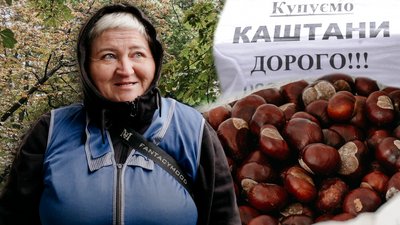 Каштани у Рівному