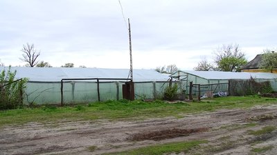 На Полтавщині овочевими культурами засадять понад 80 тисяч гектарів площ На Полтавщині овочевими культурами засадять понад 80 тисяч гектарів площ