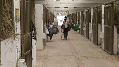Працівники центру "Я — Маріуполь" у Франківську організували кінні прогулянки для маріупольців Працівники центру "Я — Маріуполь" у Франківську організували кінні прогулянки для маріупольців
