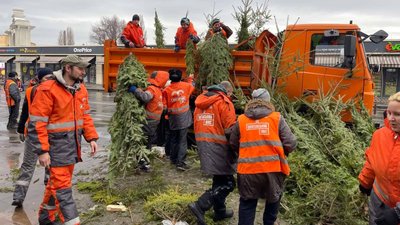Одеські комунальники 1 січня вивезли понад п'ять тисяч покинутих ялинок