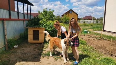 "Їхали взагалі в нікуди": історія багатодітної родини із Слов’янська, які мешкають біля Полтави "Їхали взагалі в нікуди": історія багатодітної родини із Слов’янська, які мешкають біля Полтави